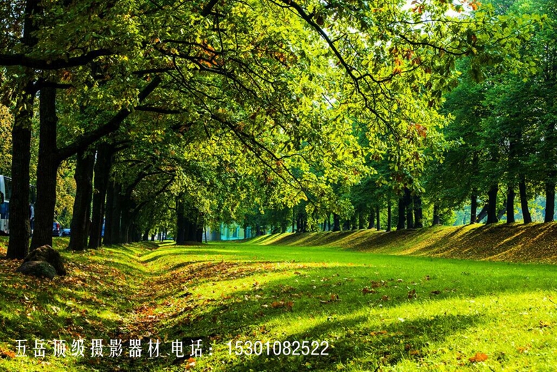 【徕卡 S(Type 007)促销】徕卡高端相机系列S